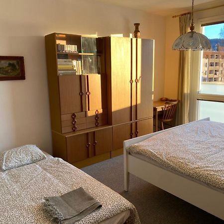 Apartman Pod Studenou Horou Rokytnice nad Jizerou Exterior foto